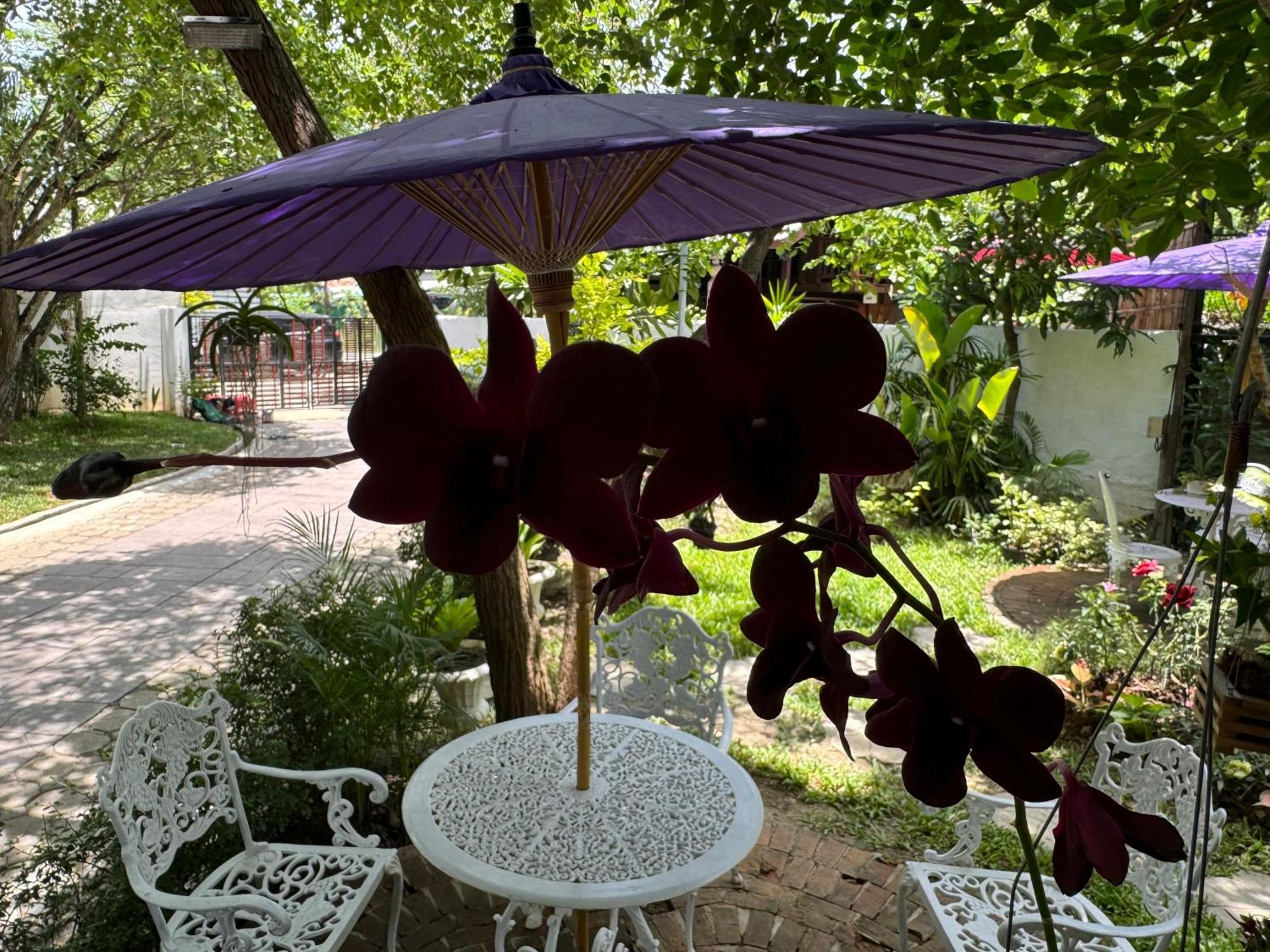 Chiang Mai Las Orquideas Resort エクステリア 写真