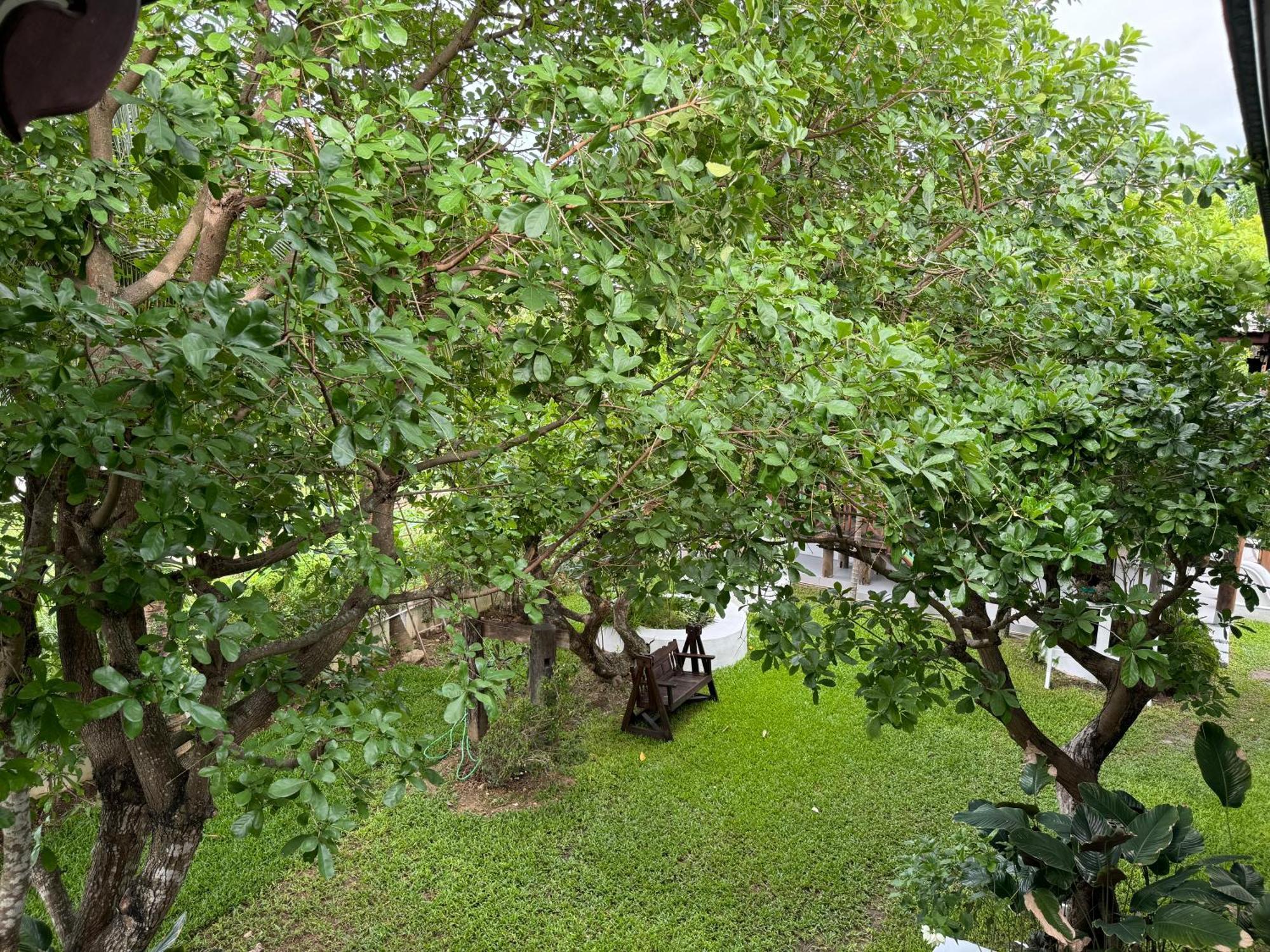 Chiang Mai Las Orquideas Resort エクステリア 写真