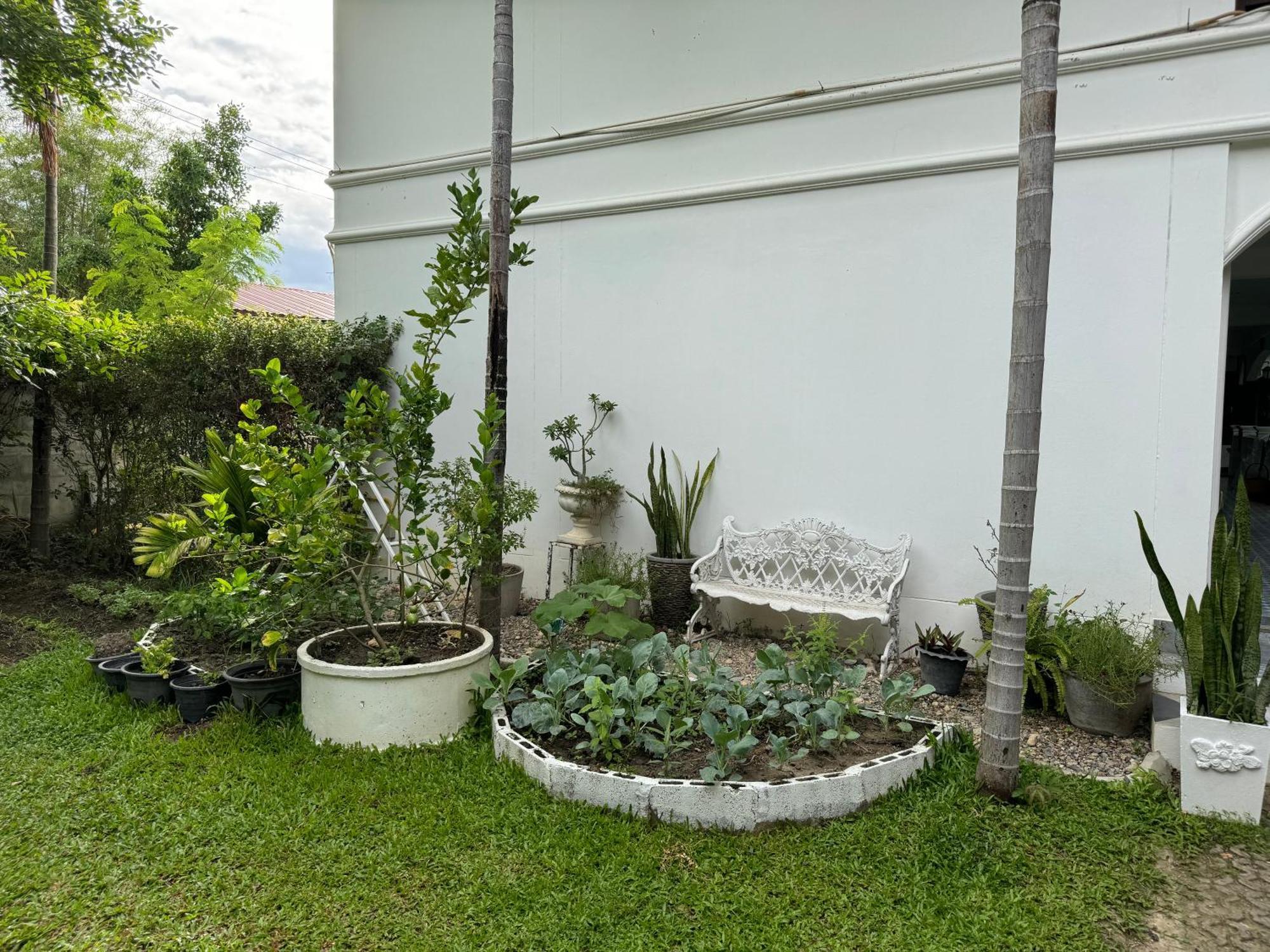Chiang Mai Las Orquideas Resort エクステリア 写真